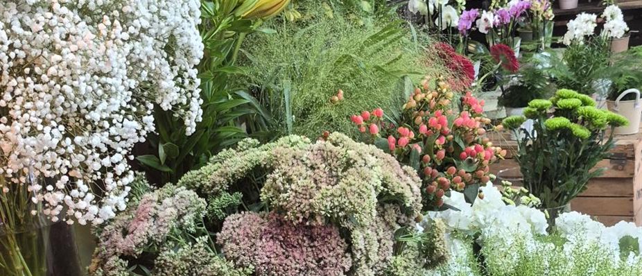 Intérieur boutique Cap Vert, fleurs fraîches