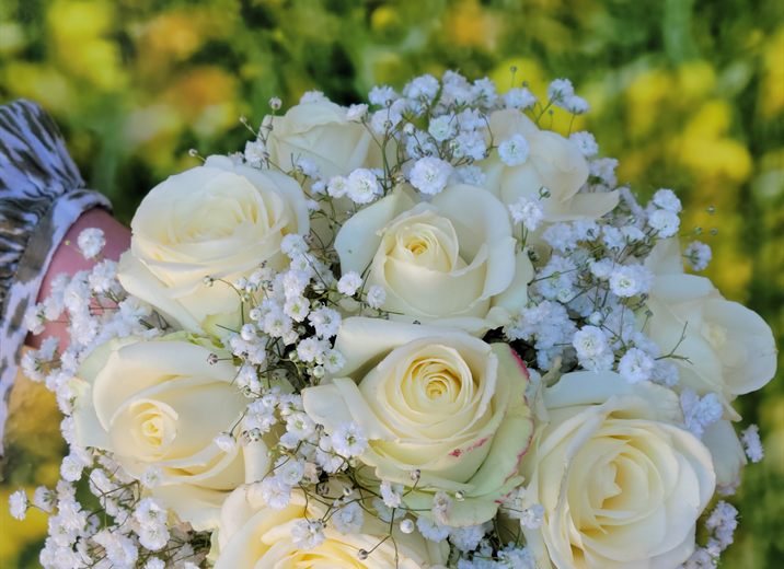 Bouquet de roses blanches et gypsophile
