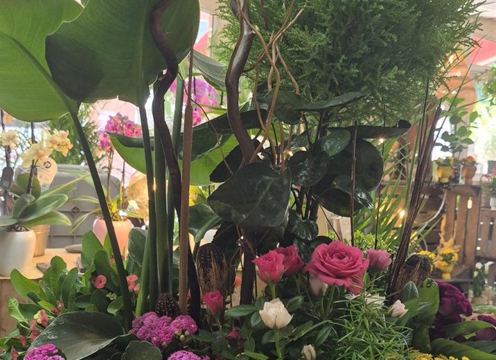 Jardinière fleurie Cap Vert