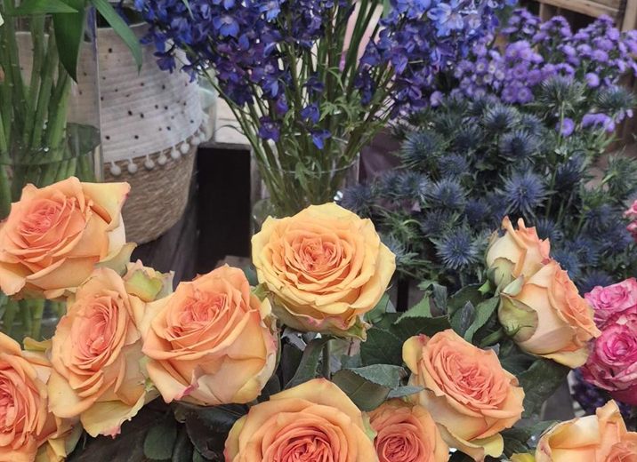 Roses orangées en boutique