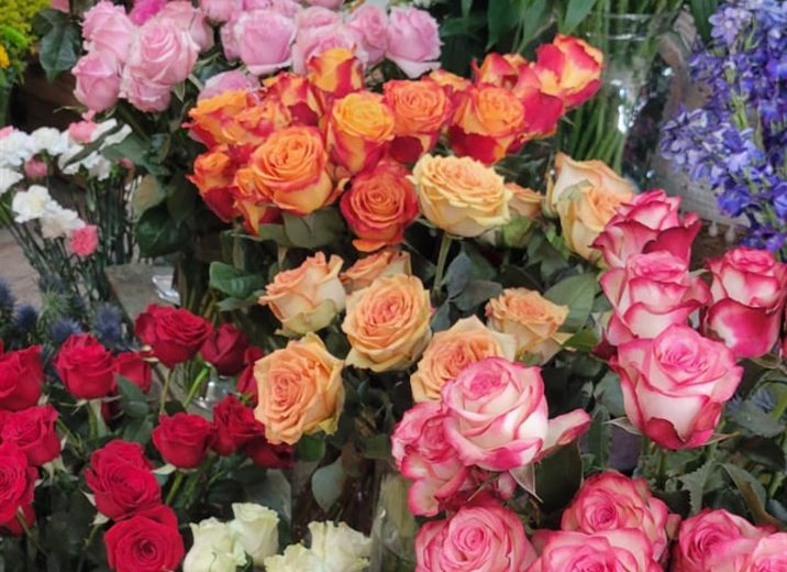 Rangées de roses multicolores en boutique