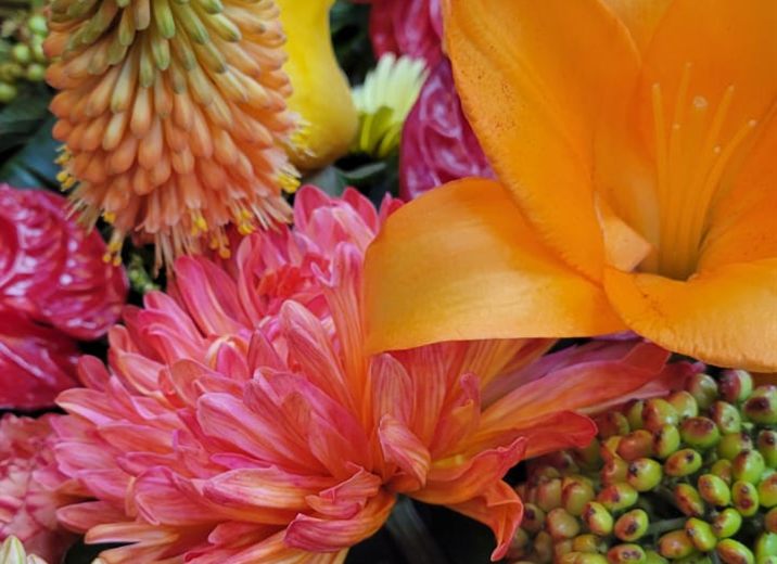Composition exotique, kniphofia et anthurium rouge