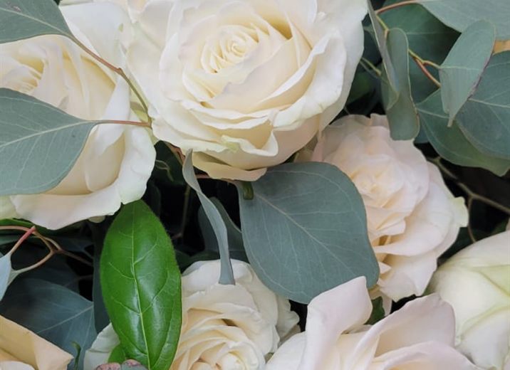 Roses blanches et eucalyptus, détail